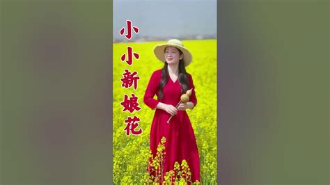 《小小新娘花》葫芦丝，云菲菲 Youtube