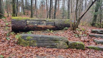 Weitab Vom Hektischen Alltag Eingebettet Im Idyllischen Rothaargebirge