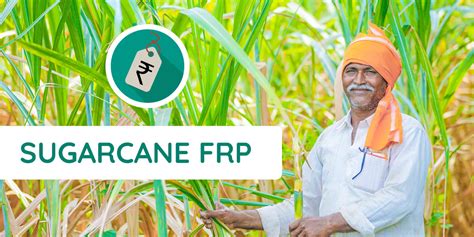 Government Intervention A Sugarcane Price Policy In India