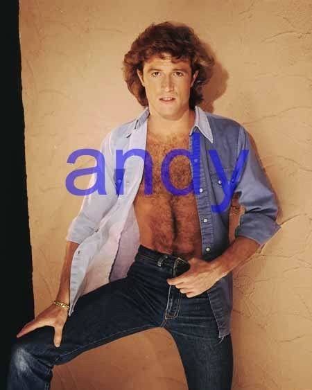 Andy Gibb 289barechestedshirtless8x10 Photocloseupbee Gees Brother 1905656718