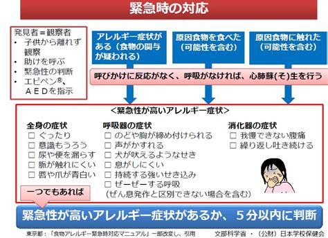 緊急時フローチャート 研修会で紹介 食物アレルギーっ子の日々のあれこれ