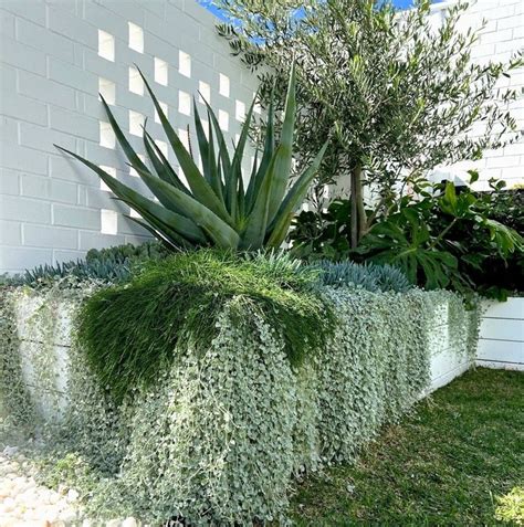 Gallery — Bonnie Stacey Landscapes In 2024 Courtyard Gardens Design