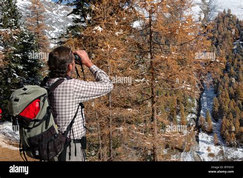 Hiker observing wildlife in Val Trupchun, Swiss National Park Stock ...