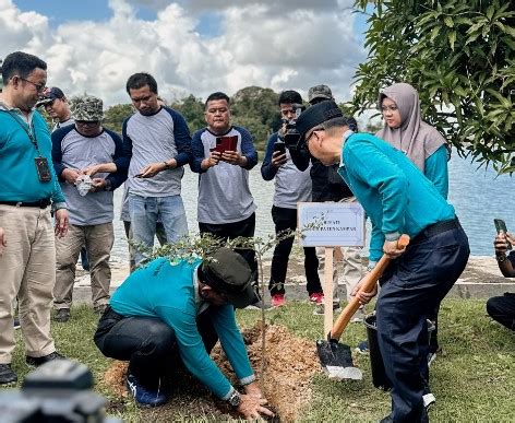 Kolaborasi Dengan Kabupaten Kampar Pln Nusantara Power Hijaukan Danau