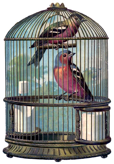 Vintage Graphic - Fabulous Bird Cage with Birds - The Graphics Fairy