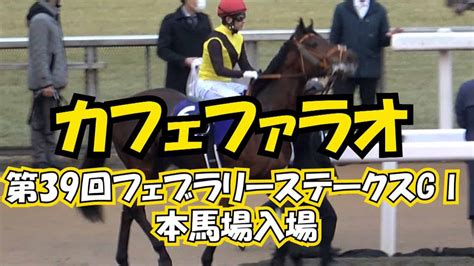 2022 第39回フェブラリーステークスgⅠ 本馬場入場 現地映像 カフェファラオ 競馬動画まとめ