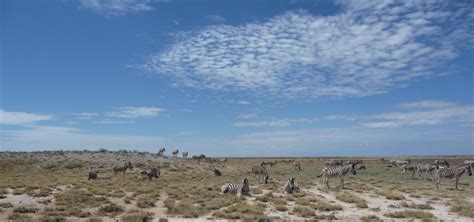 Namibie P Riple En Terres Namibiennes