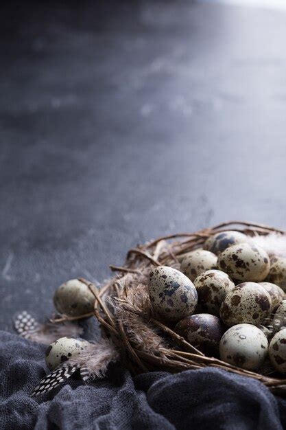 Premium Photo | Quail eggs in the nest