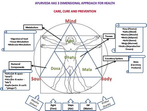 Good Morning Ayurveda Principle And Practices Of Ayurveda