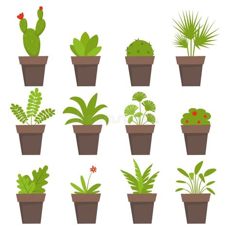 Potted Plants And Flowers Icons Cute House Plants In Flat Style Stock