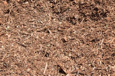 Leaf Mulch | Fast Composting | Native Gardens and High Leaf Drop Areas