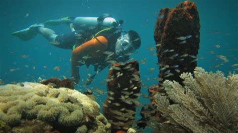 Taman Laut Di Manado Ini Tidak Kalah Cantik Dengan Bunaken