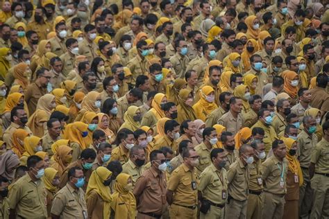 Jumlah Formasi Di Rekrutmen Casn Pppk Ribu Dan Cpns Ribu