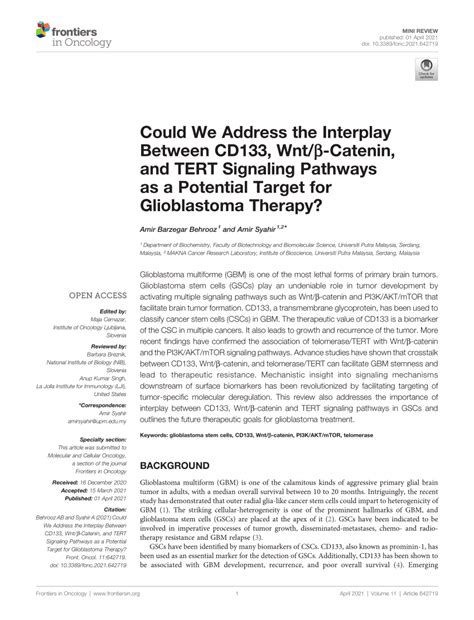 Pdf Could We Address The Interplay Between Cd Wnt Catenin And