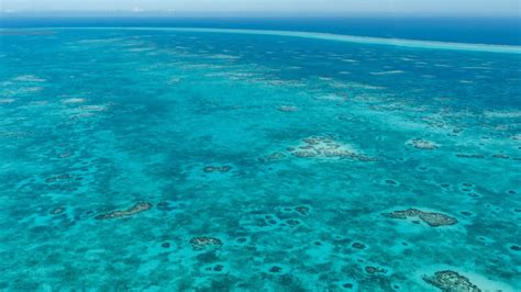 Caye Caulker Snorkeling Guide: Underwater Wonderland