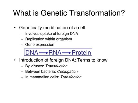 Ppt Genetic Transformation Powerpoint Presentation Free Download