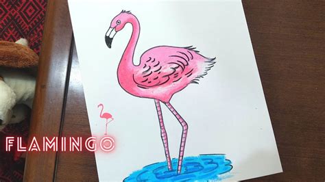 How To Draw Flamingo Flamingo Bird Drawing Draw A Flamingo Step By