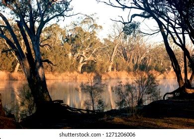 191 Murrumbidgee River Images Stock Photos Vectors Shutterstock