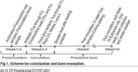 Figure From Role Of Exopolysaccharide In Aggregatibacter