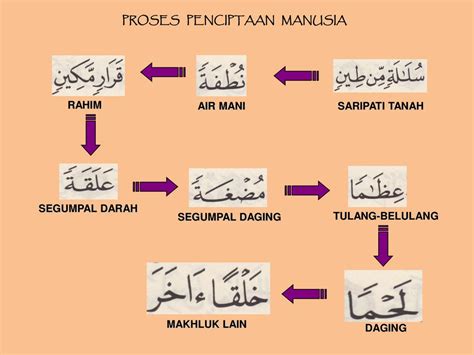 Surat Al Mukminun Ayat 12 14 52 Koleksi Gambar