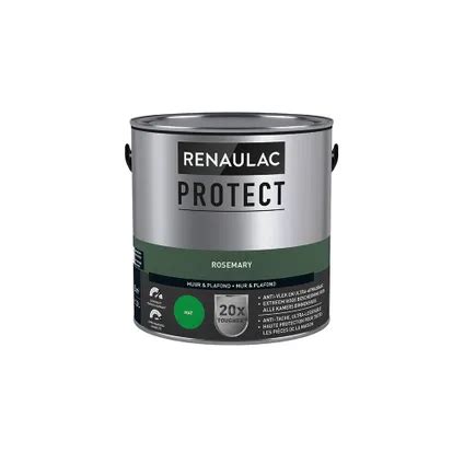 Peinture Mur Et Plafond Renaulac Protect Ultra Couvrante Rosemary Mat 2 5L