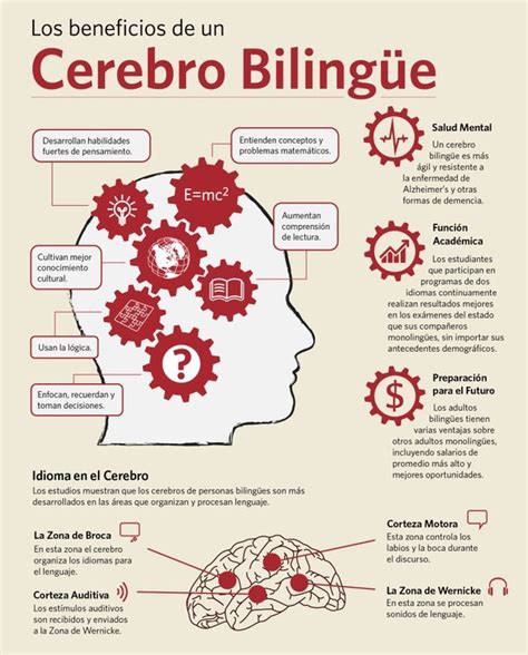 Cerebro Biling E Super Cerebro