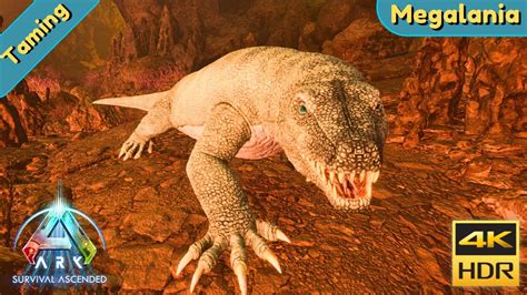 ARK Survival Ascended Tame A Megalania YouTube