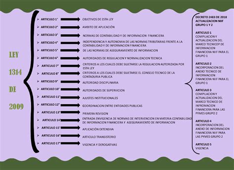 Cuadro Sinóptico Nif Normas Internacionales Fundamentos De