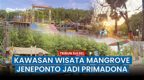 Pesona Hutan Mangrove Monro Monro Jeneponto Tawarkan Suasana Sejuk