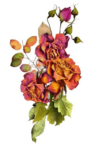 Autumn Deco Kikkapink Png Rose Roses Flowers Autumn Deco Kikkapink