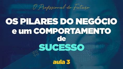 Os Pilares Do Negócio E Um Comportamento De Sucesso Aula 3 Youtube