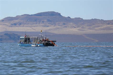 Brine Shrimp Harvest Totals Great Salt Lake Ecosystem Program