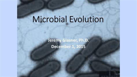 Microbial Evolution 