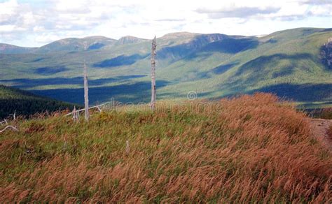 Landscape of Gaspesie National Park Stock Image - Image of forest ...