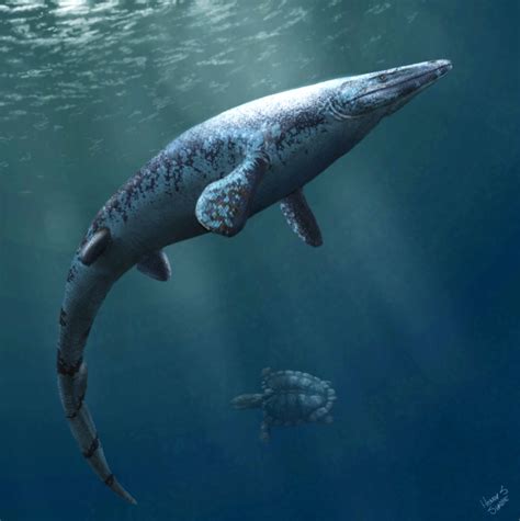 New Mosasaur Species Uncovered In Kansas Paleontology Sci