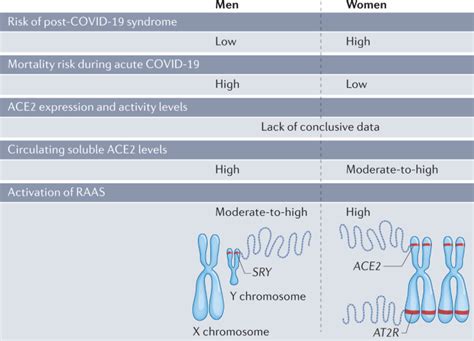 Sex Hormones In Sars Cov 2 Susceptibility Key Players Or Confounders