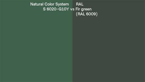 Natural Color System S 6020 G10y Vs Ral Fir Green Ral 6009 Side By