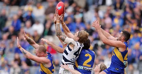 Geelong Cats Vs West Coast Eagles Tips Preview Live Stream