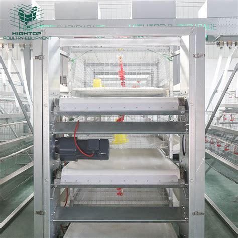 Tier H Type Battery Feeding Automatic Broiler Chicken Cage China