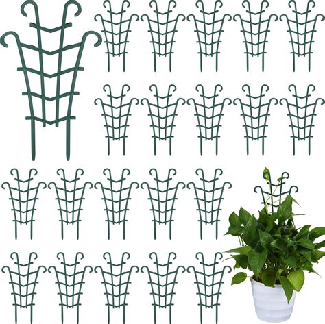 Amazon Sunnychicc Pack Trellis For Potted Plants Garden