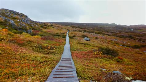 Why we need protected areas - Nature NL