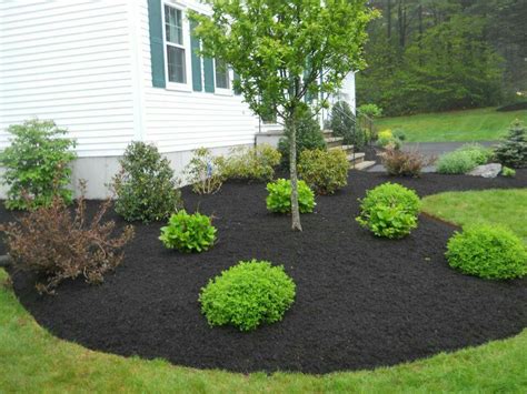 Black Mulch Landscaping Ideas