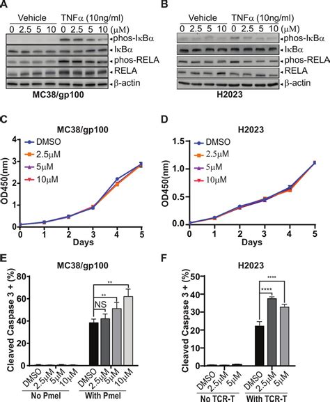 Integrating Genome Wide Crispr Immune Screen With Multi Omic Clinical