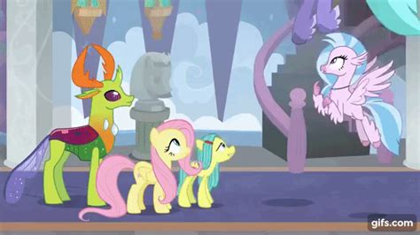 Safe Screencap Ocellus Seaspray Silverstream Thorax