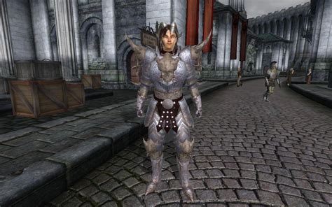 Crusader Commander Armor At Oblivion Nexus Mods And Community