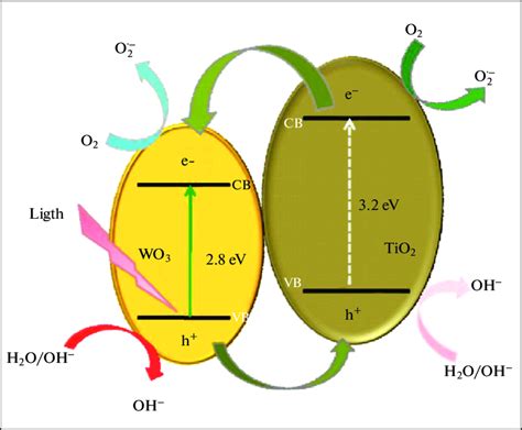 Schematic Of Charge Transfer Mechanism Of Photoexcited Wo Tio