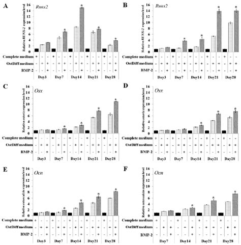 Rt Qpcr Of The Mrna Expression Of The Osteogenic Differentiation Marker