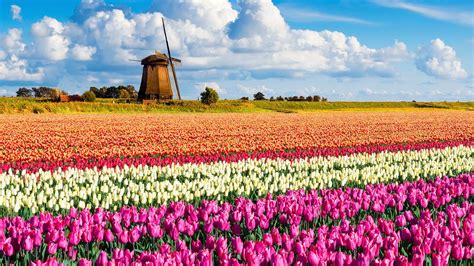 top   places   world  visit  david bingham blog