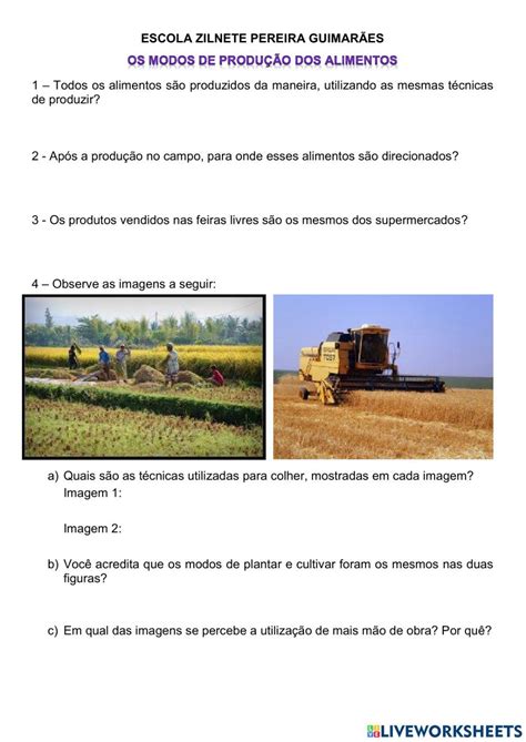 Pesquisa De Onde Vem Os Alimentos Worksheet