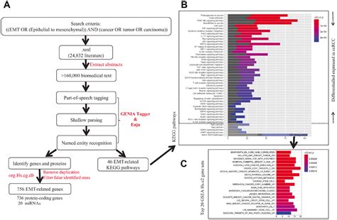 Multi Omics Analysis Reveals Epithelial Mesenchymal Transition Related